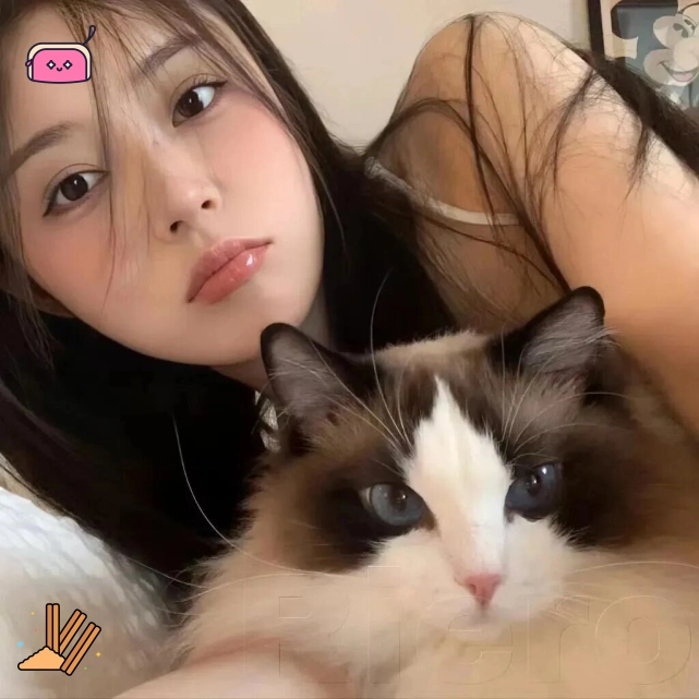 用户头像